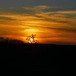 Stara Stolarnia アパート *