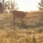 Stara Stolarnia Ruciane-Nida