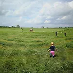 Stara Stolarnia アパート *