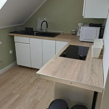 Stara Stolarnia 아파트 루치아네 니다