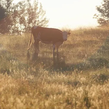 Stara Stolarnia Ruciane-Nida