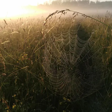 Stara Stolarnia Apartment Ruciane-Nida