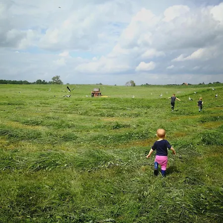 Stara Stolarnia Apartment *