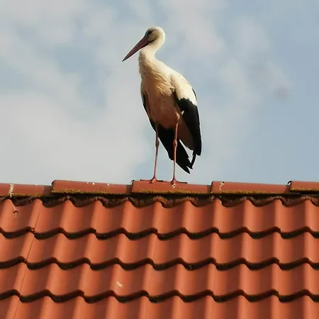 Stara Stolarnia Apartamento *
