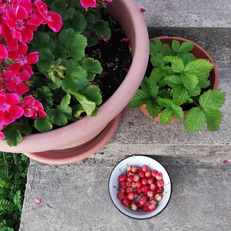 아파트 Stara Stolarnia