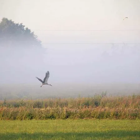 Stara Stolarnia 아파트