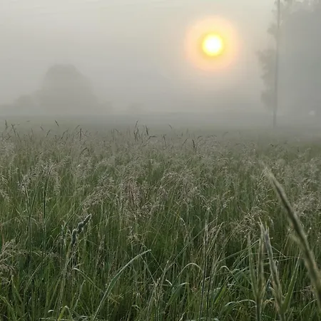 Stara Stolarnia 아파트 *