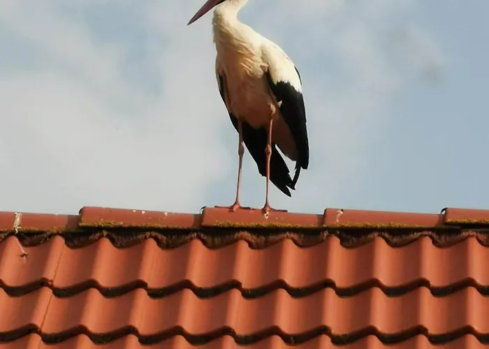 Stara Stolarnia Апартаменты *